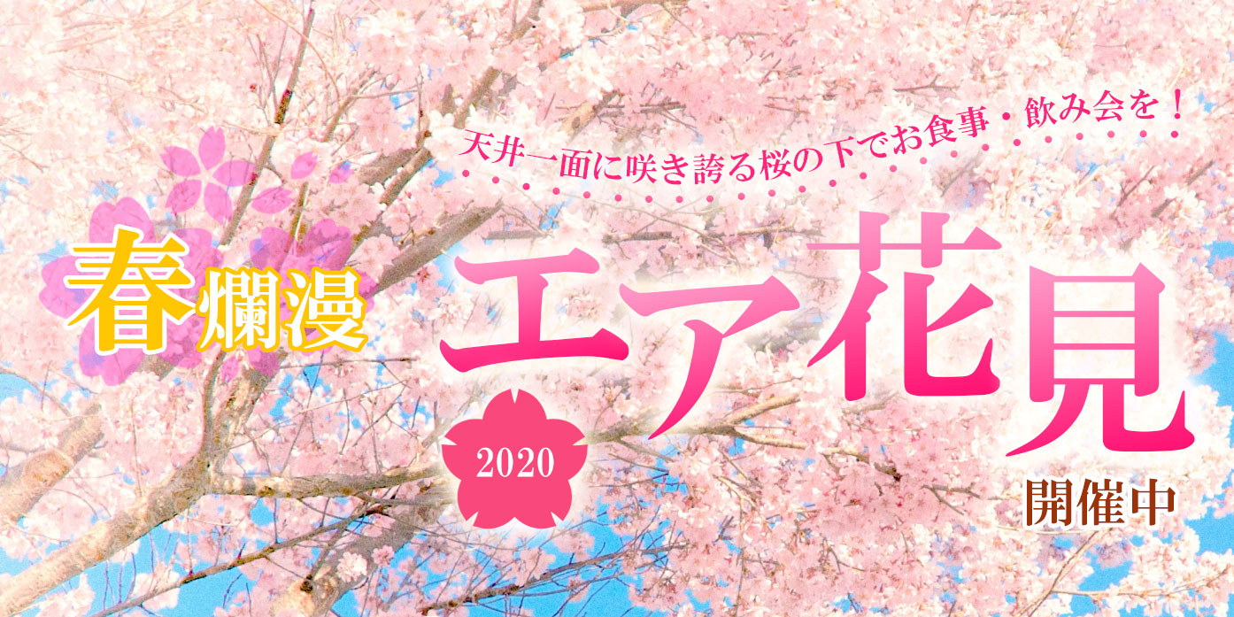 今年も開催中 エア花見 天井一面に満開の桜が咲き誇ります 年4月15日まで 元祖 金沢炉端 あっぱれ 金沢片町店